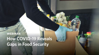 How COVID-19 Reveals Gaps in Food Security