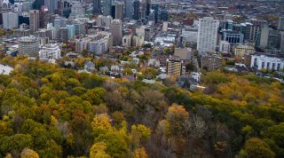 Montreal Autumn Walk